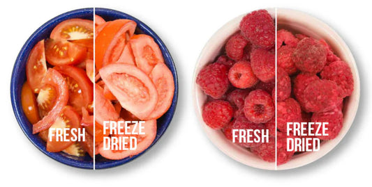 What is Freeze-Dried Food? How It Works & Why It’s Amazing